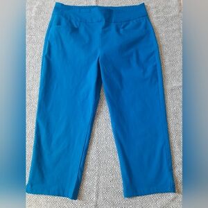 TAG Capri Stretchy Blue Pants Wome's Size 14